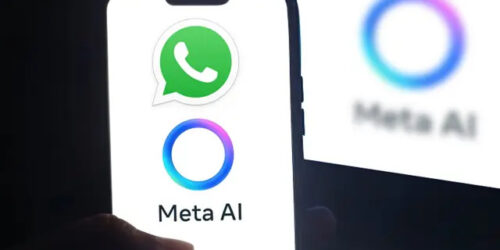 The citizen for the world