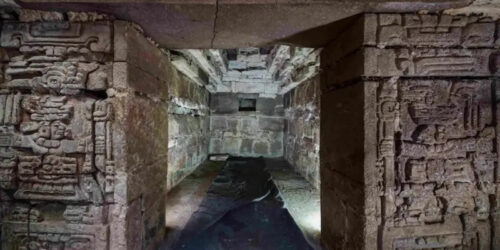 The citizen for the world