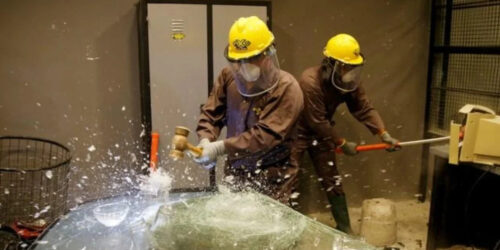 The citizen for the world