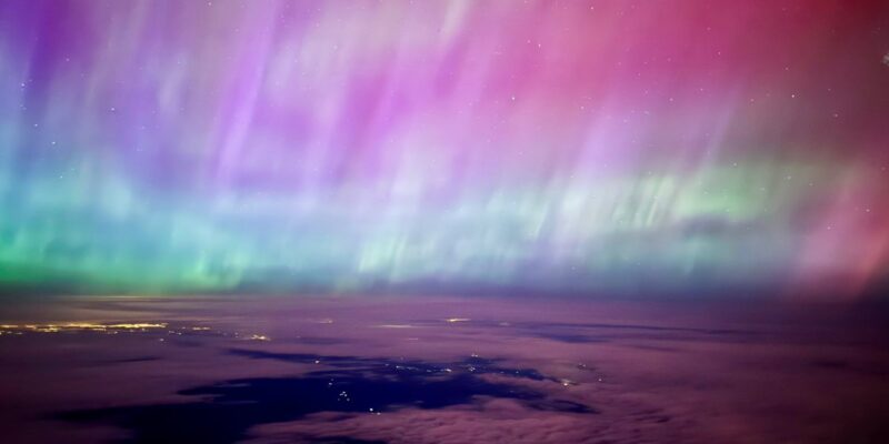 The citizen for the world