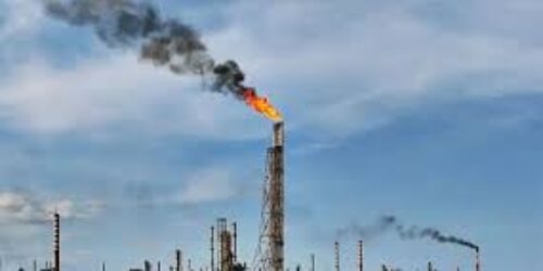 The citizen for the world