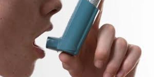 The citizen for the world