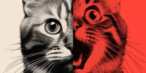 The citizen for the world