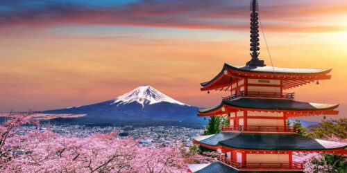 The citizen for the world