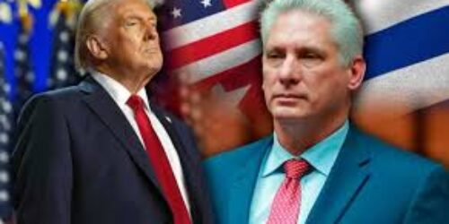 The citizen for the world