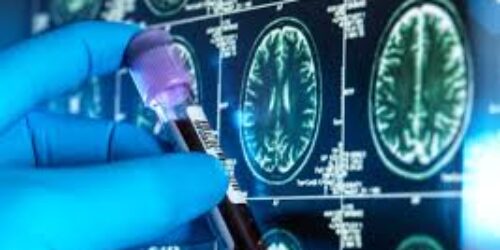 The citizen for the world