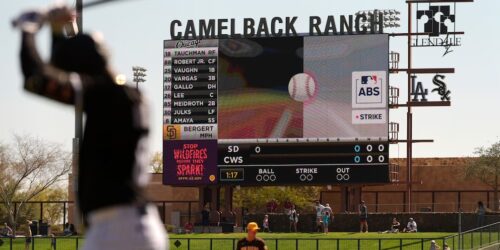 The citizen for the world