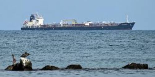 The citizen for the world