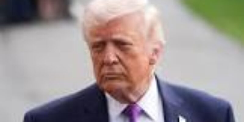 The citizen for the world