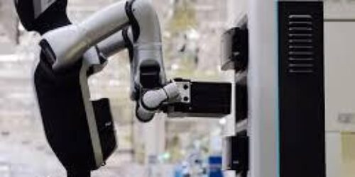 The citizen for the world