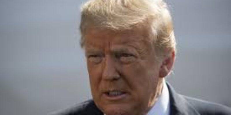 The citizen for the world