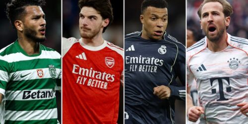 The citizen for the world