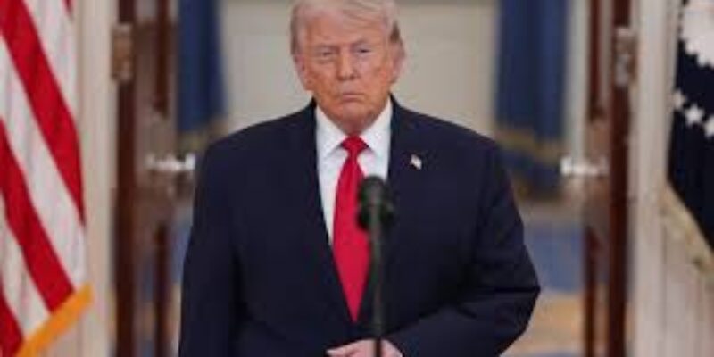 The citizen for the world