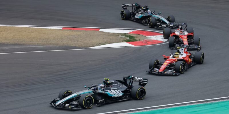 The citizen for the world