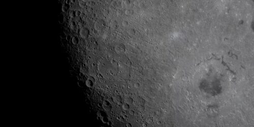 The citizen for the world