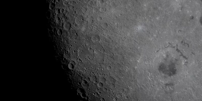 The citizen for the world