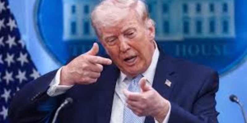 The citizen for the world