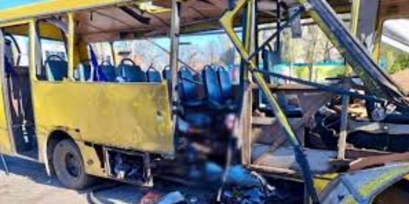 The citizen for the world