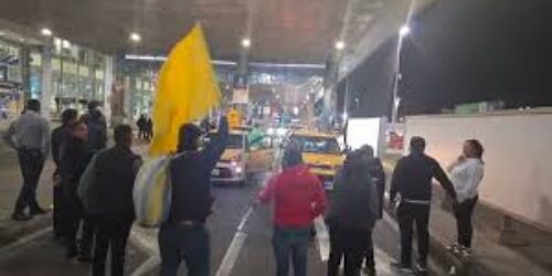 The citizen for the world